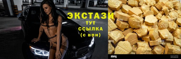 Альфа ПВП Горняк