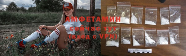 Альфа ПВП Горняк