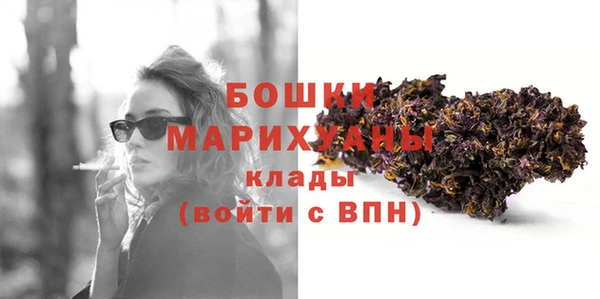 Альфа ПВП Горняк