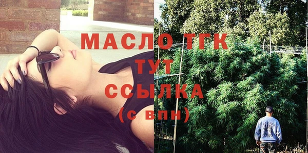 Альфа ПВП Горняк