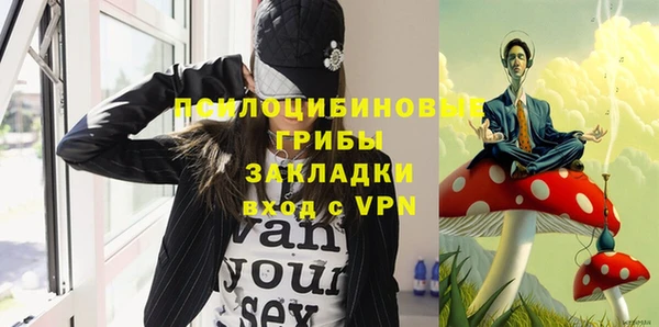 PSILOCYBIN Горнозаводск