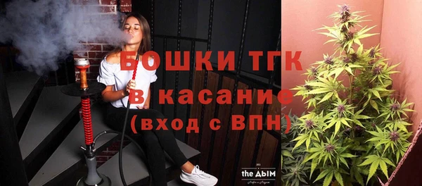 Альфа ПВП Горняк
