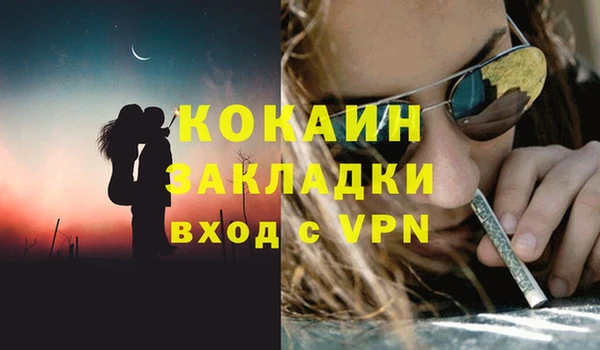 PSILOCYBIN Горнозаводск