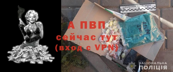 Альфа ПВП Горняк